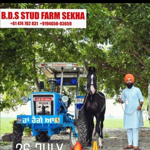 Meet your Posher, Singh - Picture 1 of 1